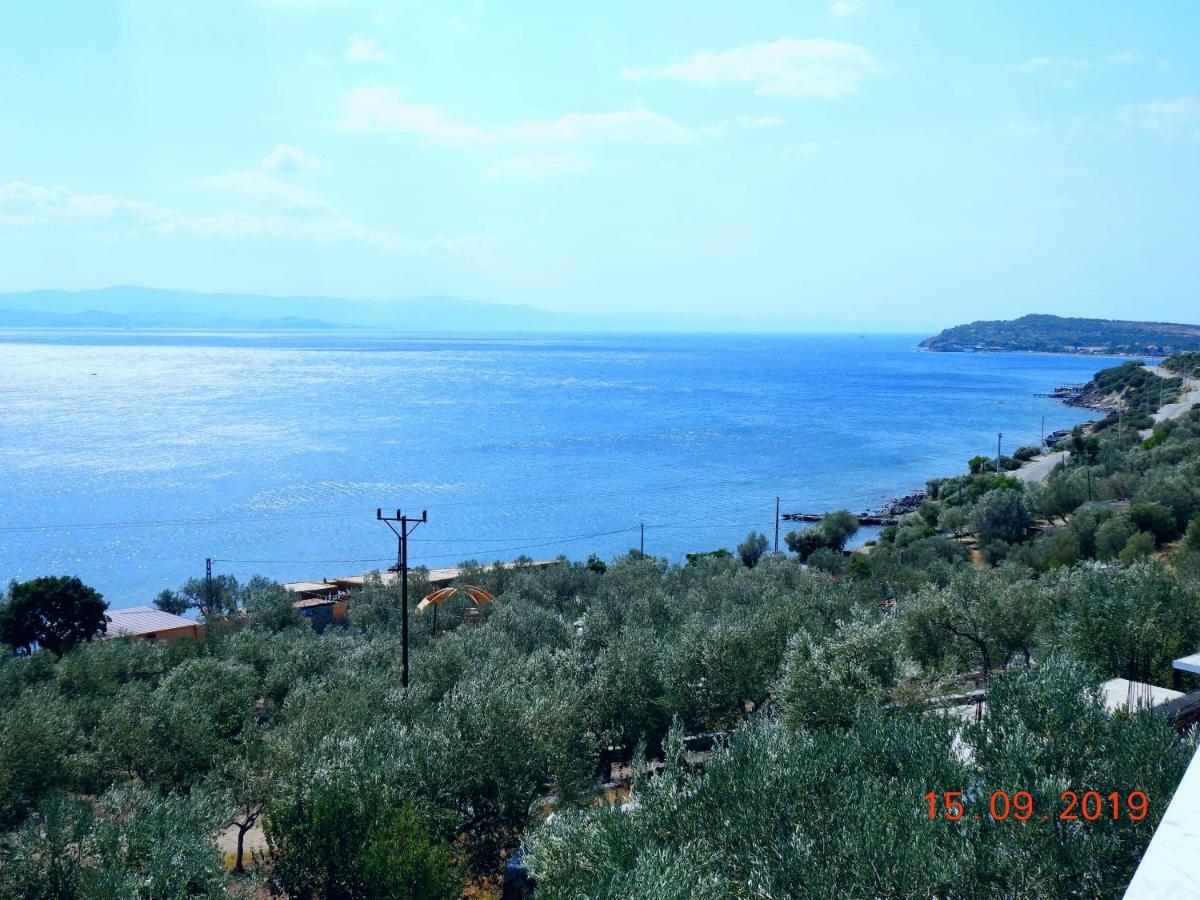 Assos Nazan Motel Restoran Beach Sokakagzi Exterior photo